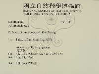 登錄號:F0010147藏品圖，第2張