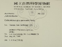 登錄號:F0010148藏品圖，第2張