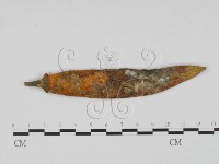 登錄號:F0010148藏品圖，第1張