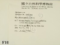 登錄號:F0010149藏品圖，第2張