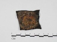 登錄號:F0010149藏品圖，第1張