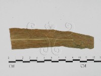 登錄號:F0010150藏品圖，第3張