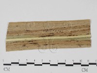 登錄號:F0010151藏品圖，第1張