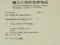 登錄號:F0010152藏品圖，第2張