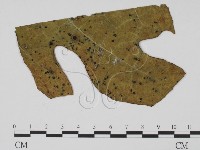 登錄號:F0010152藏品圖，第1張