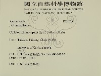 登錄號:F0010153藏品圖，第2張