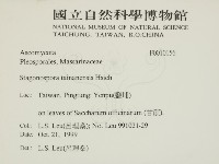 登錄號:F0010156藏品圖，第2張