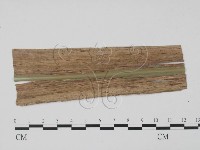 登錄號:F0010156藏品圖，第1張