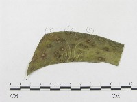 登錄號:F0010158藏品圖，第1張