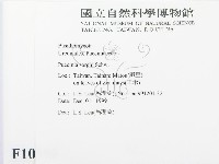 登錄號:F0010159藏品圖，第2張