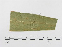 登錄號:F0010159藏品圖，第3張