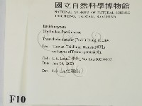 登錄號:F0010160藏品圖，第2張