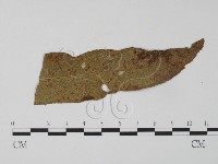 登錄號:F0010160藏品圖，第3張