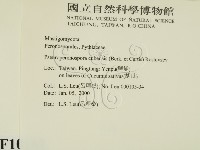 登錄號:F0010161藏品圖，第2張