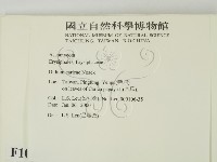 登錄號:F0010162藏品圖，第2張