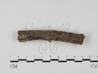 登錄號:F0010163藏品圖，第4張