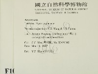 登錄號:F0010164藏品圖，第2張