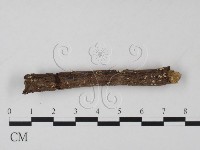 登錄號:F0010164藏品圖，第3張