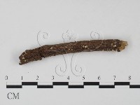 登錄號:F0010164藏品圖，第4張