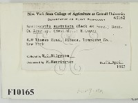 登錄號:F0010165藏品圖，第2張