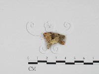 登錄號:F0010165藏品圖，第3張