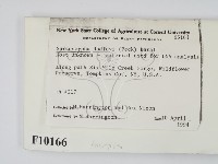 登錄號:F0010166藏品圖，第2張