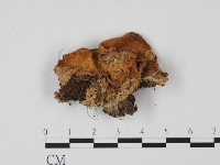 登錄號:F0010166藏品圖，第1張