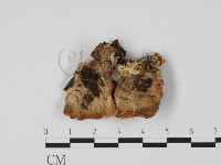 登錄號:F0010166藏品圖，第3張