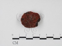 登錄號:F0010167藏品圖，第1張