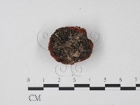 登錄號:F0010167藏品圖，第3張