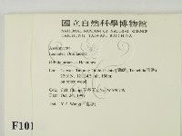 登錄號:F0010168藏品圖，第2張