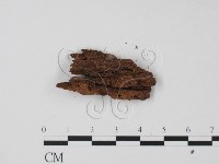 登錄號:F0010168藏品圖，第3張