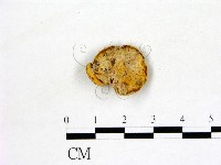 登錄號:F0010169藏品圖，第1張