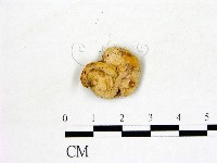 登錄號:F0010169藏品圖，第3張