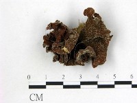 登錄號:F0010170藏品圖，第3張