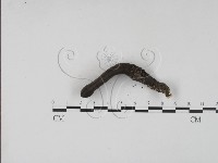 登錄號:F0010173藏品圖，第4張