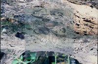 登錄號:F0010173藏品圖，第6張