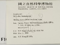 登錄號:F0010174藏品圖，第2張