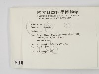 登錄號:F0010175藏品圖，第2張