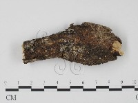 登錄號:F0010175藏品圖，第3張