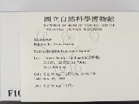 登錄號:F0010177藏品圖，第2張