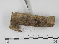 登錄號:F0010177藏品圖，第3張