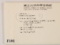 登錄號:F0010178藏品圖，第2張