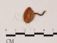 登錄號:F0010178藏品圖，第3張