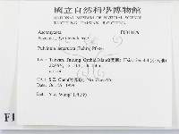 登錄號:F0010179藏品圖，第2張