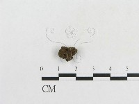 登錄號:F0010179藏品圖，第3張