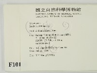 登錄號:F0010180藏品圖，第2張