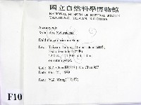 登錄號:F0010181藏品圖，第2張