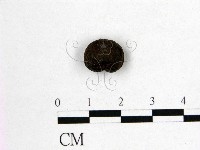 登錄號:F0010181藏品圖，第1張