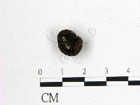 登錄號:F0010181藏品圖，第3張